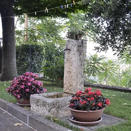 Il Tiglio *
