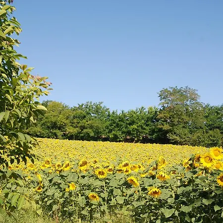 מלון דירות Il Tiglio 3*